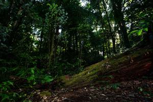 BIB: 
                            <button type="button" onclick="openModal(15972498)" class="btn btn-primary btn-sm float-right btn-popup" data-toggle="modal" data-target=".modal-high-quality">
                        <i class="fas fa-shopping-cart"></i> Add to Cart
                    </button>
                                            <button type="button" onclick="isThisMe(15972498, true)" class="btn btn-success btn-sm float-right btn-popup btn-isme hidden" data-toggle="tooltip" data-placement="bottom" title="นี่คือรูปของคุณใช่ไหม คลิกที่นี่เพื่อเอาเข้าอัลบั้ม">
                        <i class="fas fa-plus"></i> Add to album
                    </button>
                    <button type="button" onclick="isThisMe(15972498, false)" class="btn btn-warning btn-sm float-right btn-popup btn-isnotme hidden">
                        <i class="fas fa-ban"></i> Remove from album
                    </button>